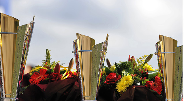 Divers_Trophees_2009.jpg