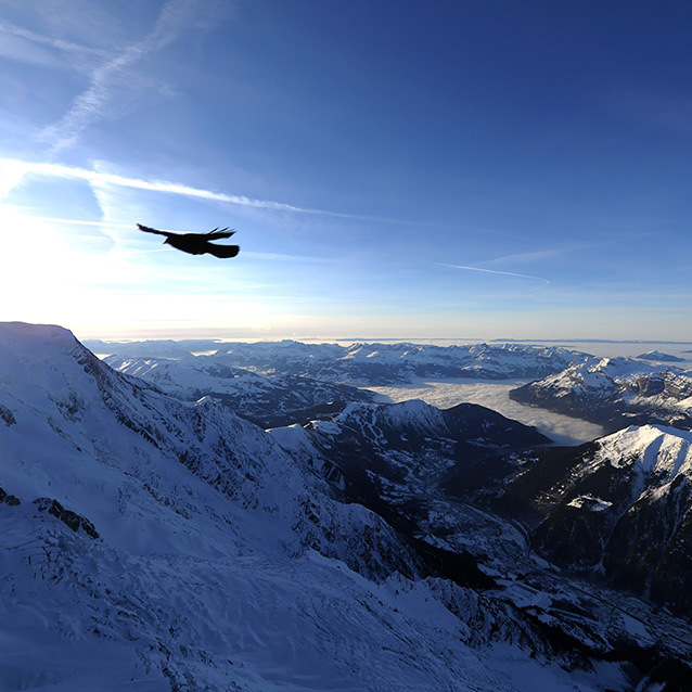 Chamonix_KSP_0613.jpg